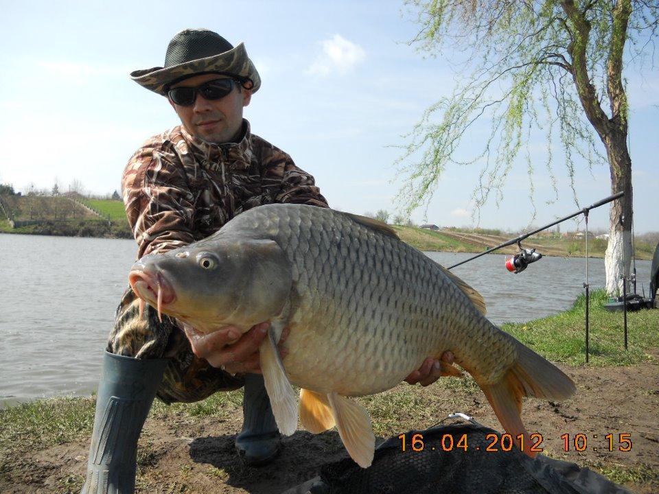 moara vlasiei 2 - 577578346643415383466400437266n.jpg